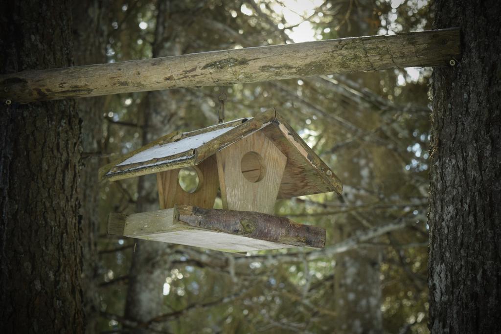 Chalet Pokljuka Goreljek Ngoại thất bức ảnh